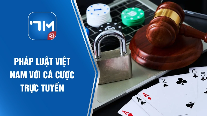 Pháp luật Việt Nam với cá cược trực tuyến