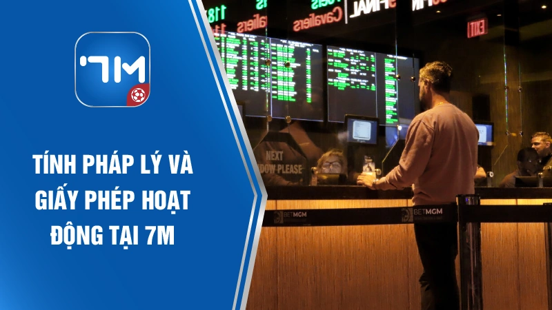 Tính pháp lý và giấy phép hoạt động tại 7m ma cao